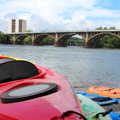 Colorful kayaks in line sitting at the edge of the river.