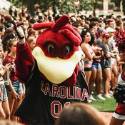 Cocky dancing at pep rally on the horseshoe.