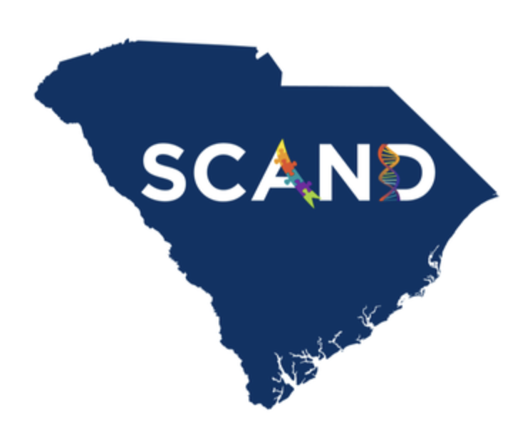 SCAND Logo which is the state of South Carolina with SCAND overtop of it. There are multicolored puzzle pieces and dna strands in the photo.