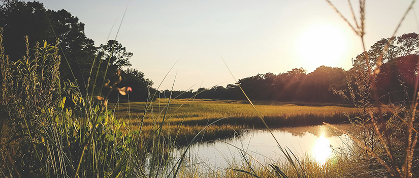 Sunset near Kiawah Island, S.C. on the marsh. Photo taken by Clint McKoy.