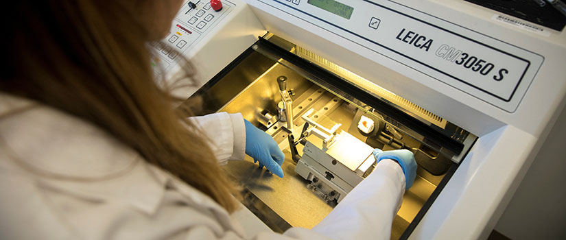 Student using lab equipment.