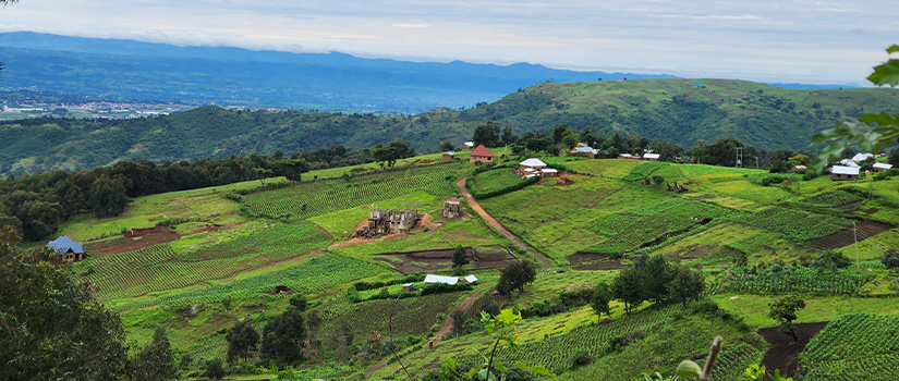 Landscape in Tanzania