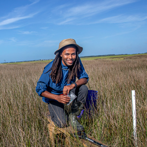 a man kneels on a boardwalk in a coastal marsh