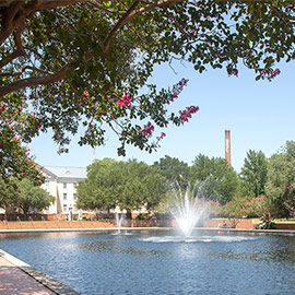 pond in front of smokestack